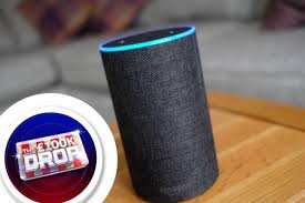 There are a few features you should focus on when shopping for a new gaming pc: 10 Free Games You Can Play On Your Amazon Alexa Dorset Echo