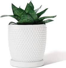 We believe in helping you find the product that is right for you. Amazon Com Potey 053601 Plant Pot With Drainage Hole Saucer 5 5 Inch Glazed Ceramic Modern Vintage Style H Indoor Plant Pots Ceramic Pots Deck Flower Pots