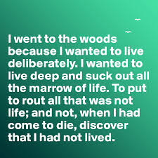 I Went To The Woods Because I Wanted To Live Deliberately I Wanted To Live Deep