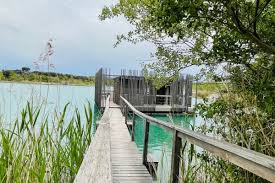 Check spelling or type a new query. Coucoo Cabanes Des Grands Cepages Aoc Chateauneuf Du Pape