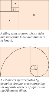 Bansktblog Golden Ratio In Logo Designs Golden Ratio In Design Fibonacci Golden Ratio
