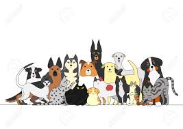 Free clip art you can use for anything you like. Group Of Dogs And Cats Royalty Free Cliparts Vectors And Stock Illustration Image 52507630