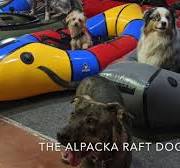 Alpacka Raft: Dog Nails and Packrafts