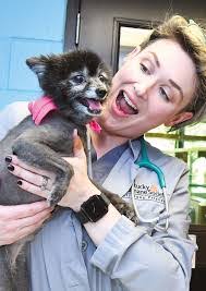 Amy Willstatter's Instagram, Twitter & Facebook