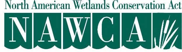 North American Wetlands Conservation Act United States Small and Standard Grant Proposal 2025 Eligibility Criteria & Process