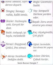 Ayfer Teke Adli Kullanicinin Burcum Basak Panosundaki Pin Burclar Ikizler Burcu Ikizler