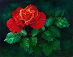 But still today, oil painting has been successful to make its name on the list of most popular art forms. Best Canvas Painting Collection Canvas Rose Oil Painting