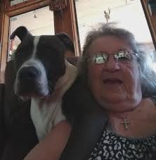 puppies for adoption in Baldwin County?