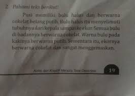 Nama rumah makan ini berasal dari bahasa jawa yaitu nyamleng yang berarti enak sekali. Paragraf Tersebut Termasuk A Deskripsi Orangb Deskripsi Waktuc Deskripsi Tempatd Brainly Co Id