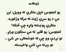 If you like pashto jokes then this the best book. Pashto Funny Facebook