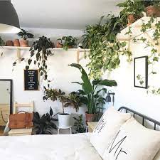 Shelves A Good Way To Add Plants To A Very Small Bedroom Very Small Bedroom Apartment Decor Bedroom Makeover Small rooms are the perfect place to create the tiniest art gallery.