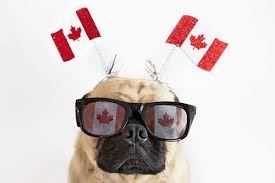 Last year's canada day celebrations at parliament hill drew a huge crowd. Top Activities To Celebrate Canada Day 2020