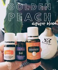 Pin By Anna Blake Watkins On Oil Me Up Essential Oils Essential Oil Diffuser Recipes Living Essentials Oils