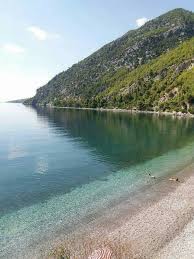 Google has many special features to help you find exactly what you're looking for. Dafnh Mia Apo Tis Kryfes Paralies Ths Eyboias Elenifourli Com