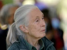 Bob Ringwald dies; California jazz pianist, actor's father