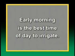 How Many Sprinklers Can Be Used Per Zone Or Valve Rain Bird