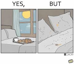 Image result for sarcastic comics