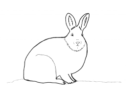 Our coloring page is based on this image. Coloring Pages For Children Trembeling Art