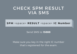 Unfortunately, the website checker does not provide you with free data on a given website's traffic statistics.unlike other tools, there is also no paid pro version available that would allow you to run a website traffic test. How To Check Spm Results Spm Results Out On March 5 2020