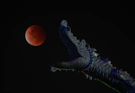 Lượt xem 1133 năm trước. Super Flower Blood Moon Appears In Night Skies Above Malaysia The Star