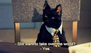 Ggeorgialh Funny School Memes Funny Relatable Memes Salem Cat