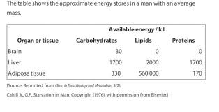 Image result for Halopyrum mucronatum