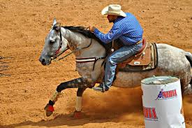 Programme tv du vendredi 19 mars de 16h à 20h. Salon Du Cheval 2017 Le Western S Invite A L Hippodrome De La Cepiere A Toulouse Actu Toulouse