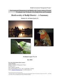 Image result for Agelanthus longipes