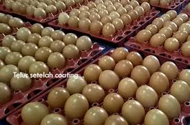 Maybe you would like to learn more about one of these? Penanganan Tepat Telur Tahan Sampai 40 Hari Info Teknologi Badan Litbang Pertanian