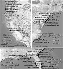 Tidal Inlet Morphology Classification And Empirical