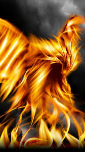 If you see some phoenix bird wallpaper hd you'd like to use, just click on the image to download to your desktop or mobile devices. Iphone Wallpaper Phoenix Bird Images 2021 3d Iphone Wallpaper