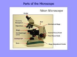 We did not find results for: Week 2 Microscopic Anatomy Ppt Download