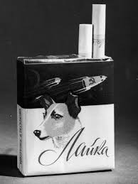 Лайка: героиня космоса, у которой не было шанса вернуться - BBC News  Русская служба