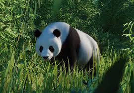 Sign up for the animal planet newsletter. Giant Panda Planet Zoo