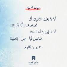 نار عظيمة في أرواحنا من اقوال فينسنت فان غوخ عالم الأدب words of wisdom quotations arabic poetry