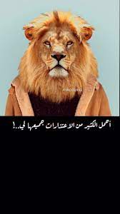 اسد هيبه cute girl photo book cover art animals
