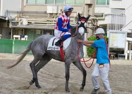 なぜ純白のヒロインソダシは桜花賞を勝てたのか…背景に陣営の計算された準備力…次戦で日本ダービー挑戦の夢プランも 4/12(月) 6:01 配信 178 æœ¬æ—¥ã®å¤§äº•ç«¶é¦¬2rã«å‡ºèµ°ã—ãŸã‚¤ãƒã‚´ã‚·ãƒ§ãƒ¼ãƒˆ ç‰3 å°é‡Žå¯ºåŽ©èˆŽ