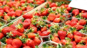 En Sologne Fraises Et Asperges En Quete De Saisonniers