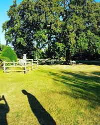 Hallmark Hotel Llyndir Hall Chester South Picture Of Wrexham Llyndir Hall Bw Signature Collection By Best Western Rossett Tripadvisor