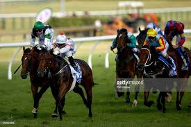 New Years Day Races Photos And Premium High Res Pictures Horse Racing Horses Racing News