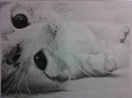 Temukan pin ini dan lainnya di kucing betina oleh vera vera. Kucing Drawing Dog And Cat How To Draw Marvel Superheroes Aris Akana