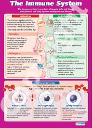 The Immune System Science Educational School Posters Biology Classroom Biomedical Science Science Biology