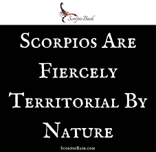 Scorpio Man In Bed 10 Sexy Things He Secretly Wants scorpio man in bed 10 sexy things he
