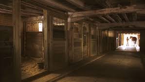 For over 40 years, horse stalls usa has offered our customer a team of top professionals for the design and manufacture of horse equipment. How To Plan And Design A Stable For Your Horse