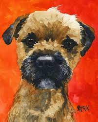 Submitted 5 days ago by goral17. Pin On Border Terrier