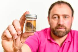 Ex-marine who lost his toes to frostbite during 300-mile Yukon Arctic Ultra  marathon to drink them in bizarre cocktail