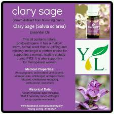 Clary Sage Young Living Clary Sage Essential Oil Sage Essential Oil Essential Oils