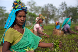 Every Mother Counts: Storytelling to Combat Maternal Mortality in India