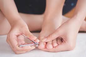 Walmart.com has been visited by 1m+ users in the past month How To Cut Your Toenails To Avoid Ingrown Toenails Errol Gindi Dpm Podiatrist