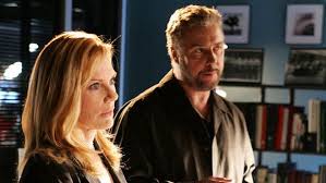 The series is produced by netflix, and streams on the network's youtube channel. I Like To Watch Csi Fandom